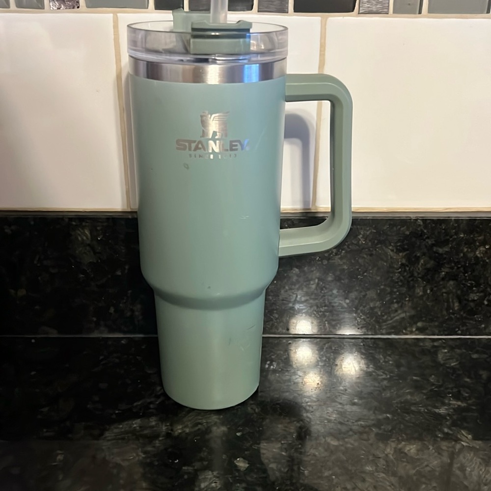 Sage green 40oz Stanley
